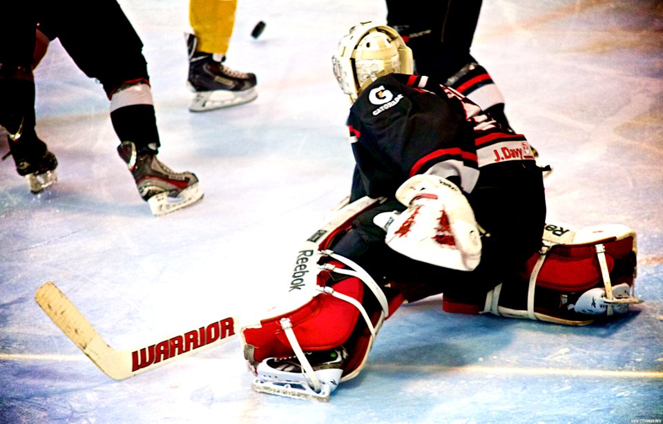 Best of 2013/14 Season: EPL and NIHL