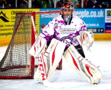 Best of 2013/14 Season: EPL and NIHL