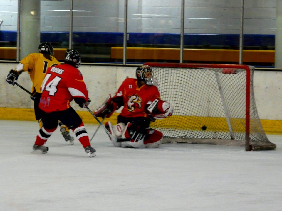 Firebees Vs Basingstoke Bison Ladies