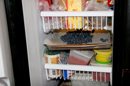 Blueberries in freezer