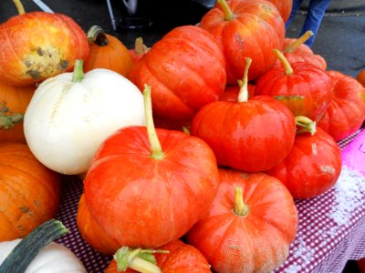 Mini Pumpkins