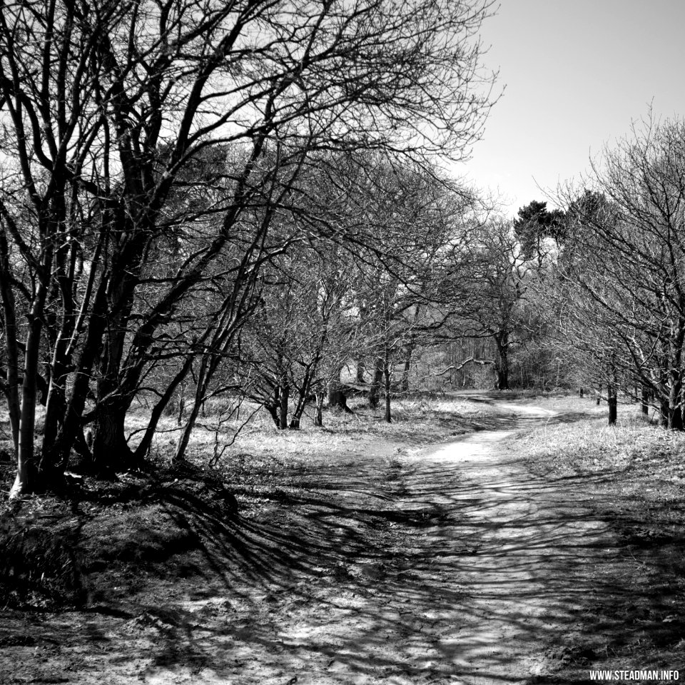 South Farnborough Landscape