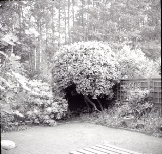 Kodak 66 Experiment