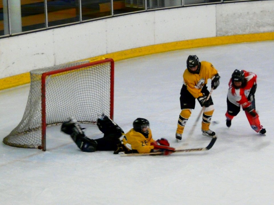 Bracknell Firebees Vs Swindon Topcats