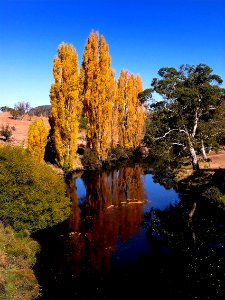 Thredbo River photo