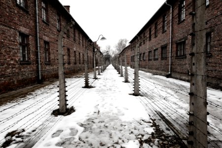 Auschwitz photo