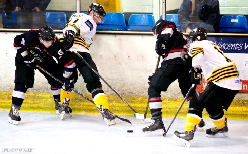 Bracknell Bees Vs Basingstoke Bison