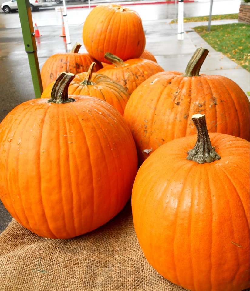 Pumpkins