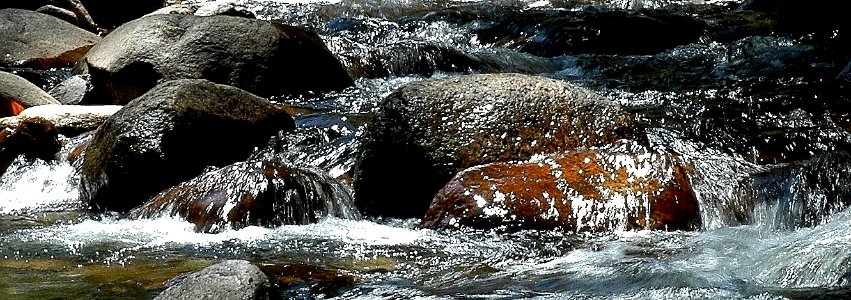 Leather Barrel Creek - NSW Snowy Mountains