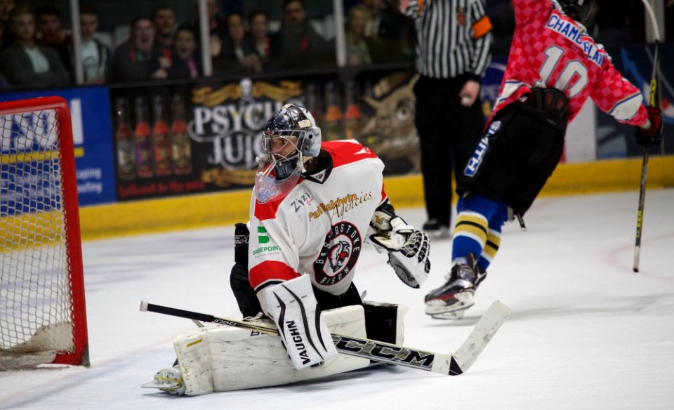 Basingstoke Bison Vs Milton Keynes Lightning