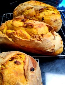 Pumpkin Sourdough Bread 1 (2)