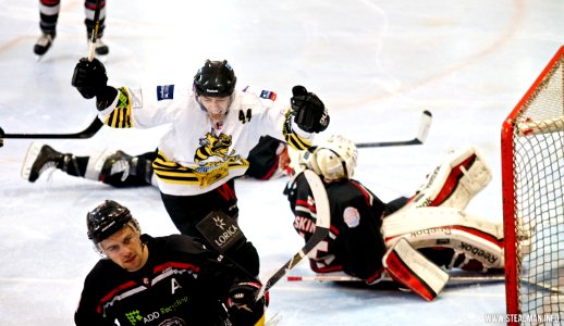 Bracknell Bees Vs Basingstoke Bison