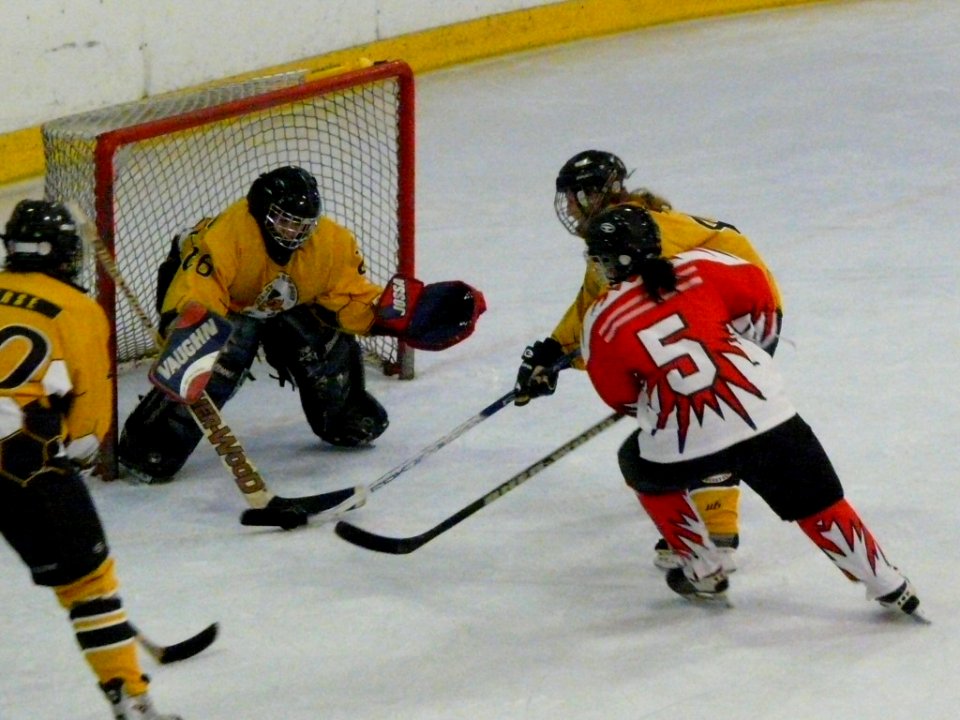 Bracknell Firebees Vs Swindon Topcats