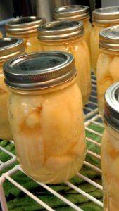 Canned pears on cooling rack photo
