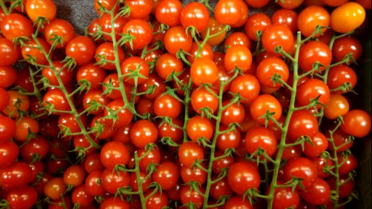 St Lawrence Market Tomatoes