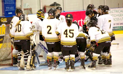 EIHA Trophy Weekend Final - Queen Bees Vs Diamonds