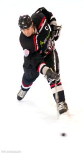 Bracknell Bees Vs Basingstoke Bison