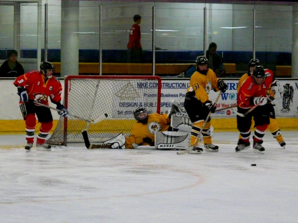 Firebees Vs Basingstoke Bison Ladies