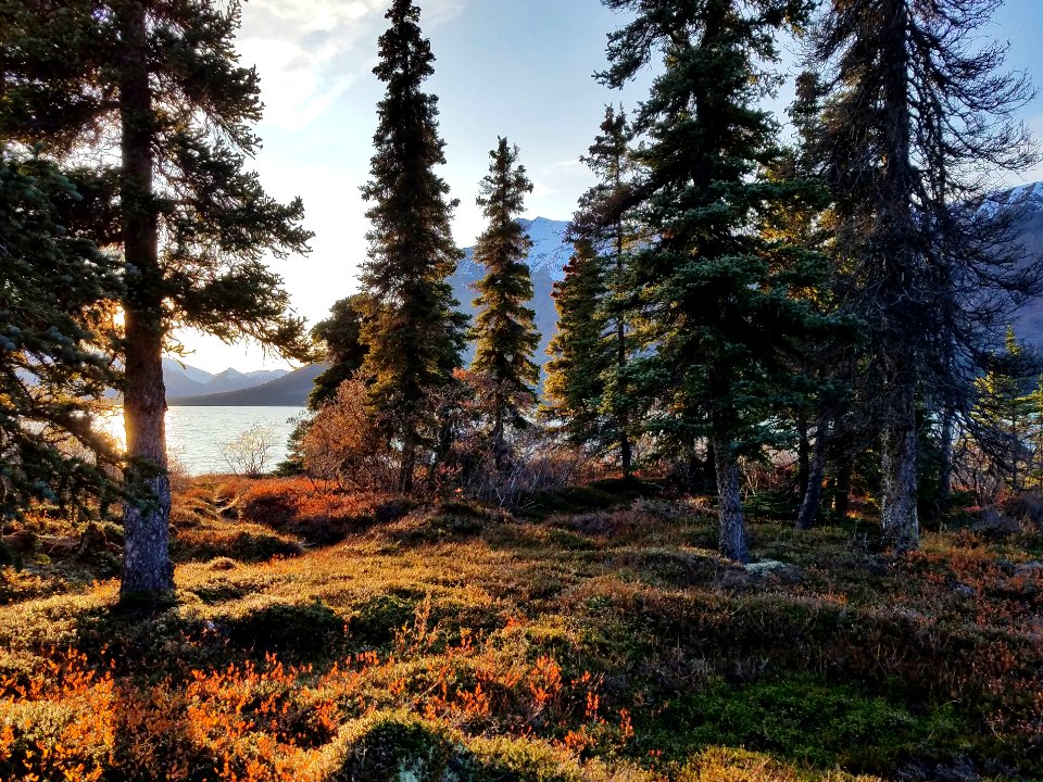 Autumn at Upper Twin Lake