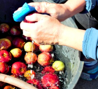 Washing fresh apples
