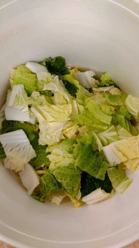 Cabbage in food grade bucket for making kimchi