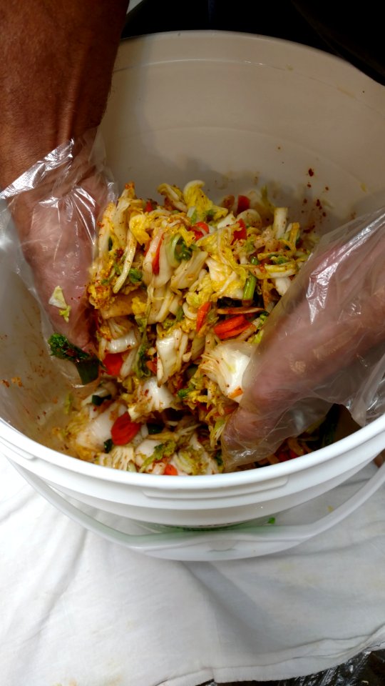 Mixing kimchi ingredients with gloves