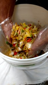 Mixing kimchi ingredients with gloves