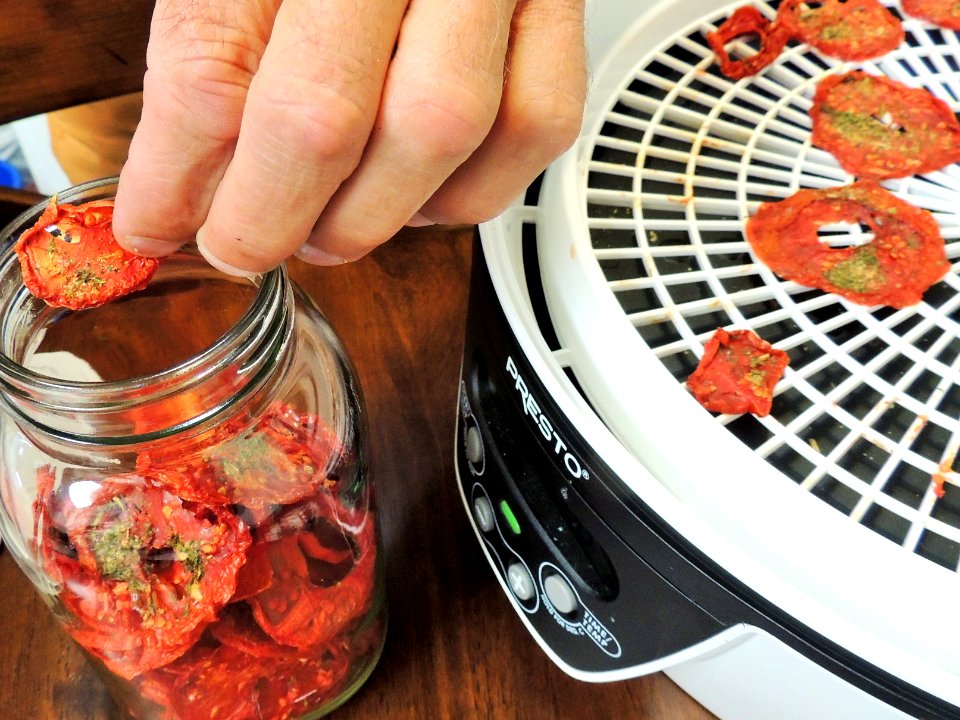 Dried tomatoes going into conditioning jar