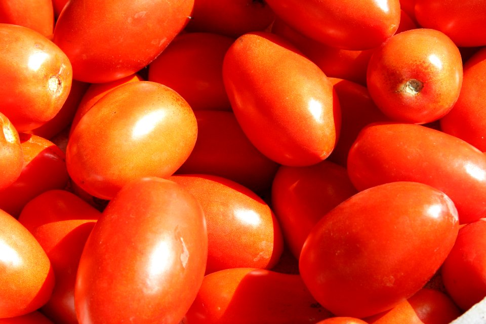 Roma Tomatoes