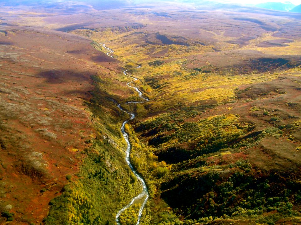 Trail Creek