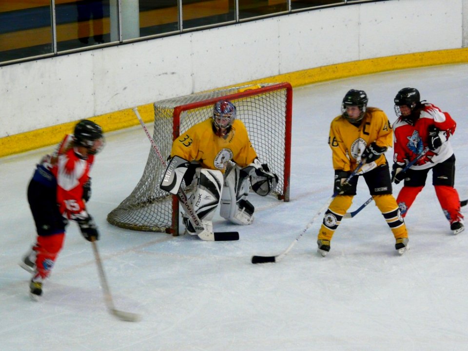 Bracknell Firebees Vs Swindon Topcats