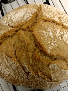 Wheat Sourdough Bread Cooling