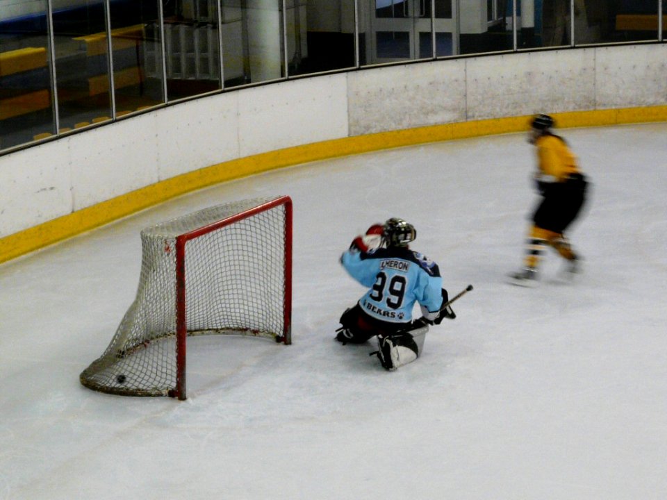 Bracknell Firebees Vs Basingstoke Bears