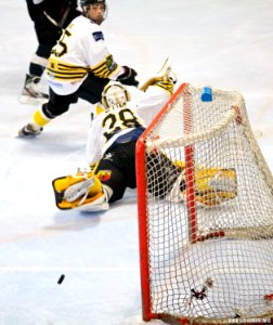 Bracknell Bees Vs Basingstoke Bison