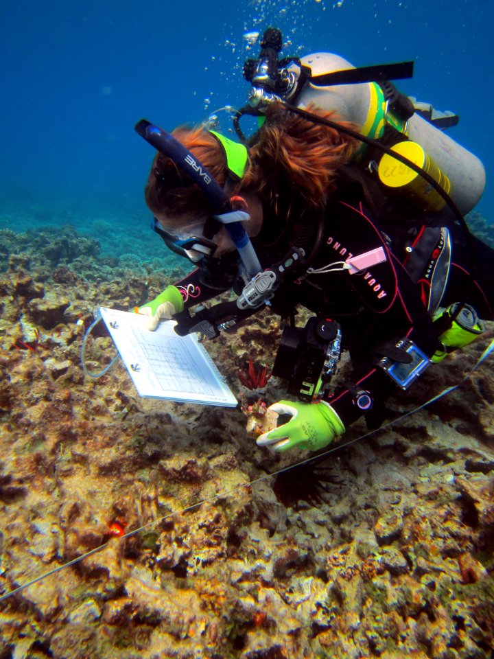 Examining Notes