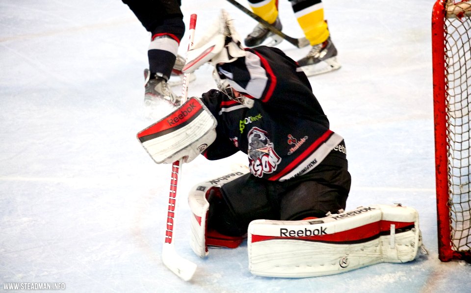 Bracknell Bees Vs Basingstoke Bison