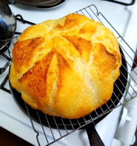 Dutch Oven Sourdough Bread 5 photo