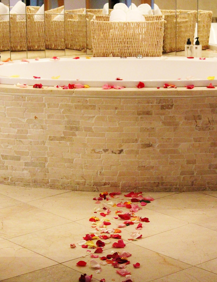 Decoration rose petals mood