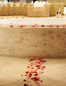 Decoration rose petals mood