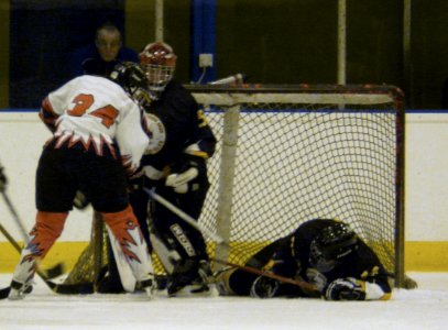 Firebees At Swindon