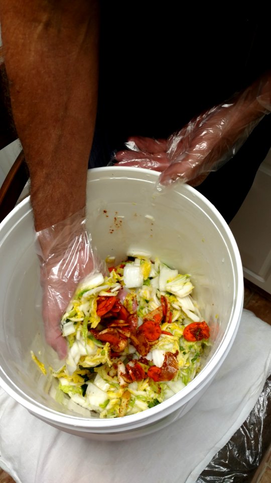 Kimchi making 2