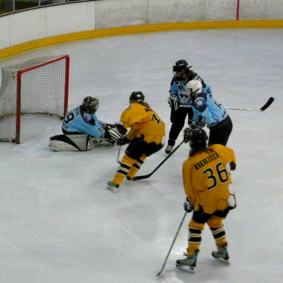 Bracknell Firebees Vs Basingstoke Bears