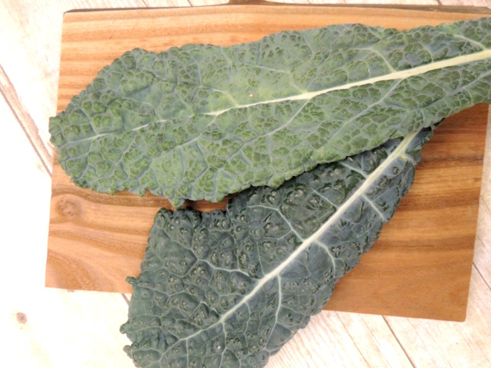 Dino/Tuscan/Lacinato Kale