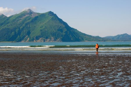 A shoreline view from Chinitna Bay