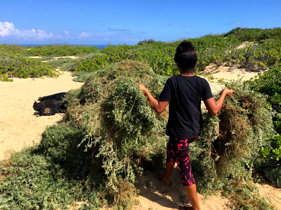 Waianae Intermediate Students Navigate Change photo