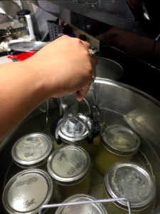 Using jar lifter to remove jars from pan photo