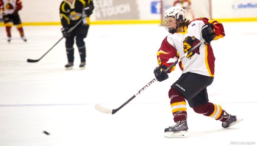 EIHA Trophy Weekend - Div1 Semi Finals