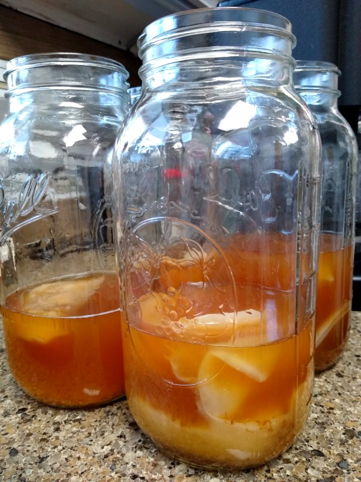 Making kombucha 8