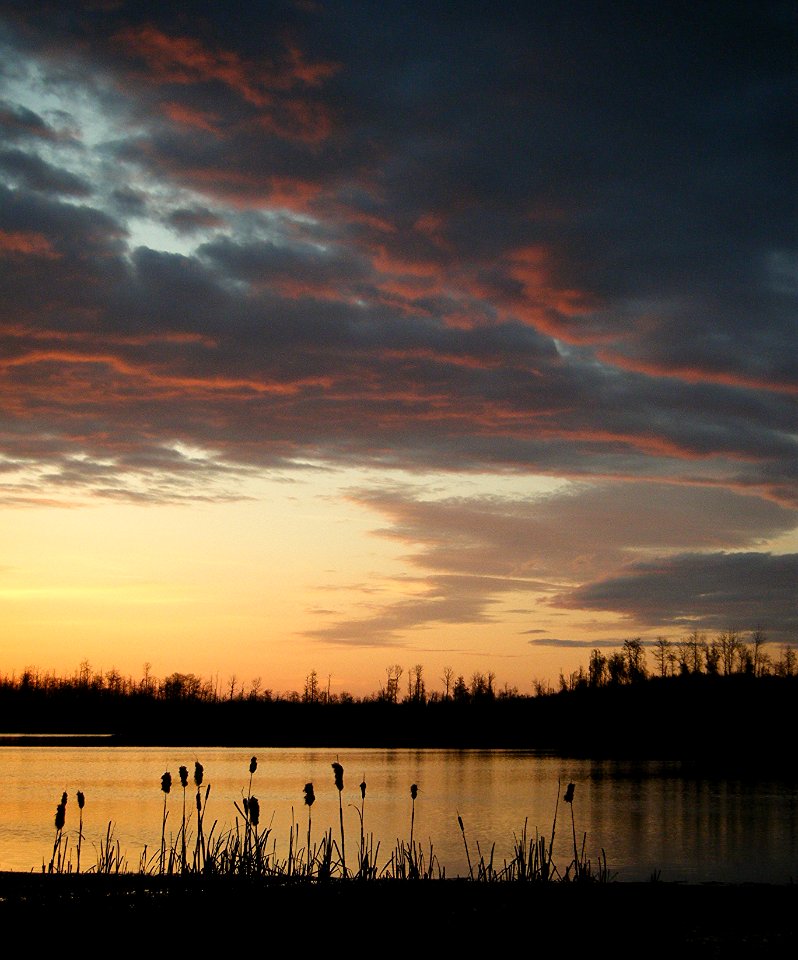 Elk Island May 15 2015 (68)