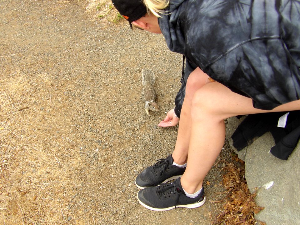 Rachel definitely gets rabies